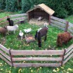 9 Essential Backyard Mini Farms Livestock Safety Tips