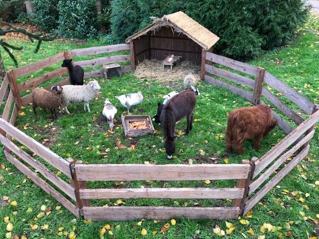 9 Essential Backyard Mini Farms Livestock Safety Tips