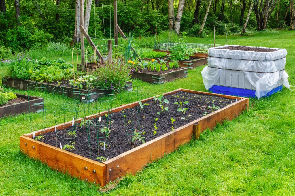 8 Powerful Backyard Mini Farms Productivity Hacks