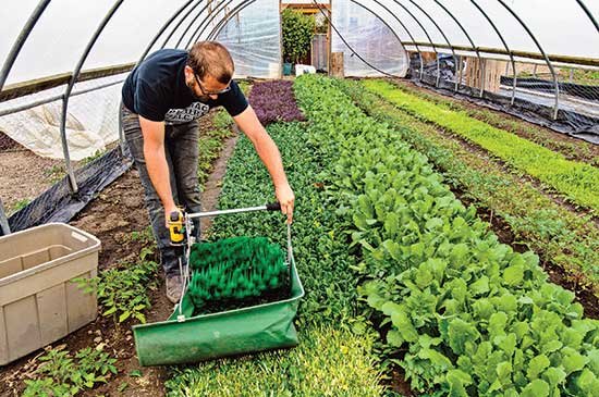 9 Powerful Backyard Mini Farms Organic Growing Tips