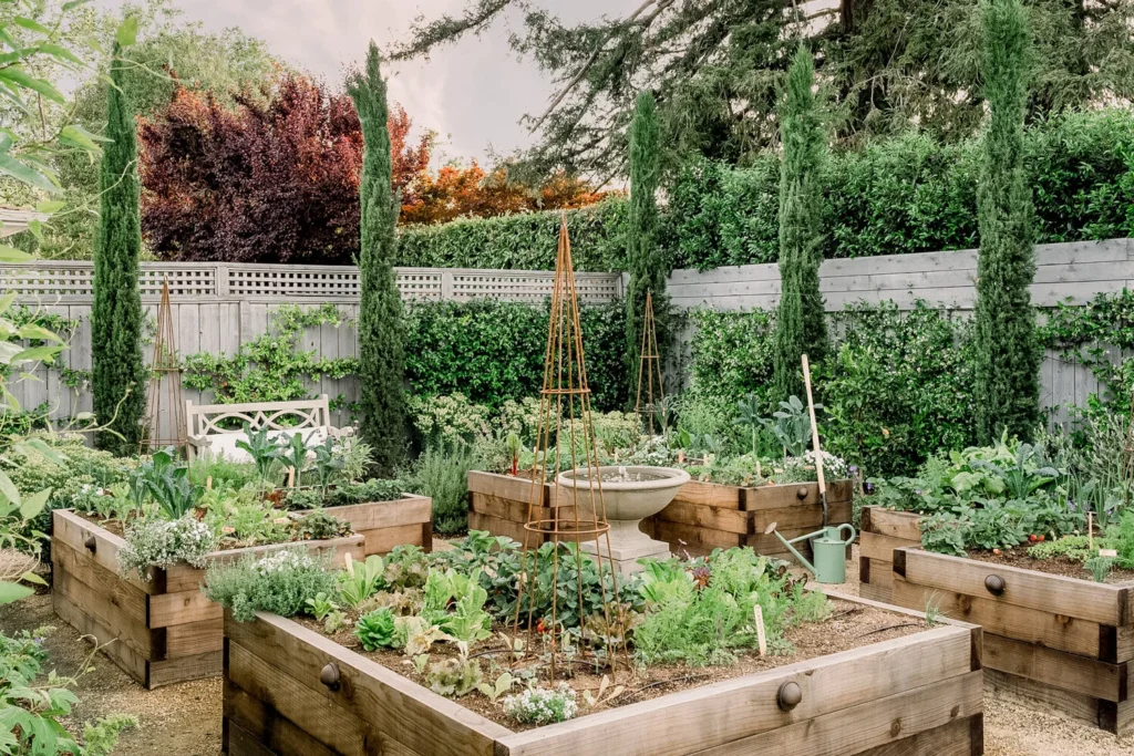 4 Backyard Mini Farms Changes That Doubled My Harvest