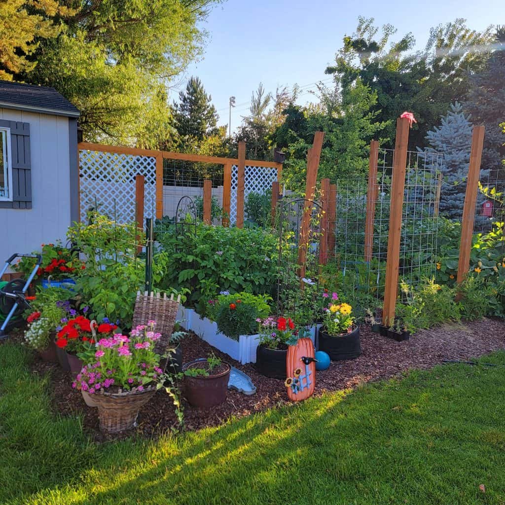10 Proven Backyard Mini Farms Tricks for Small Yards