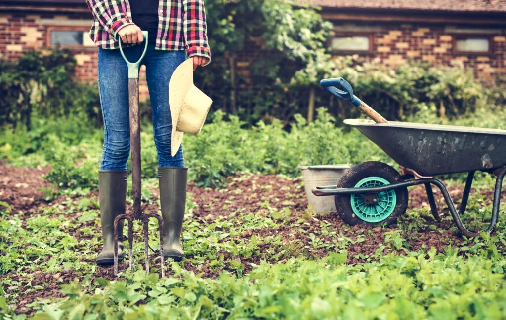 10 Proven Backyard Mini Farms Tricks for Small Yards