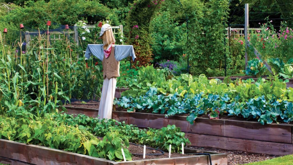 9 Smart Backyard Mini Farms Vegetable Beds for Small Spaces