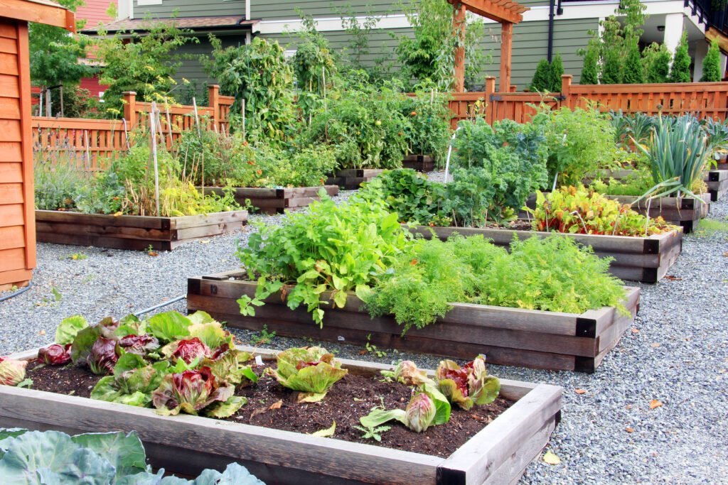 7 Smart Backyard Mini Farms Upgrades I Wish I Did Earlier