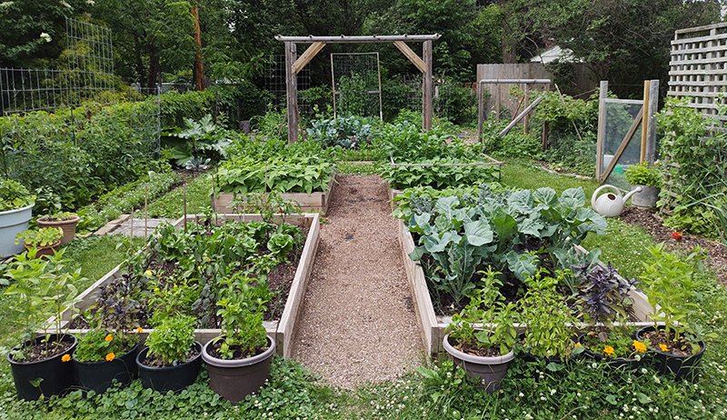 7 Smart Backyard Mini Farms Upgrades I Wish I Did Earlier