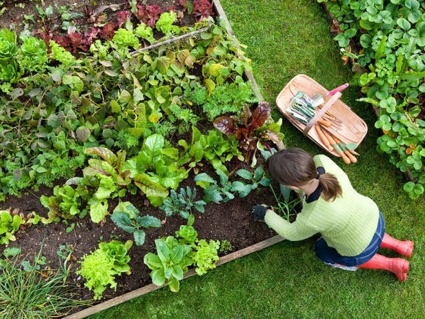 5 Powerful Backyard Farm Setup Ideas That Actually Work
