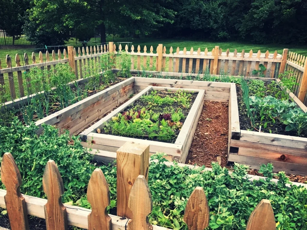 12 Easy Backyard Farm Setup Tips Every Beginner Needs