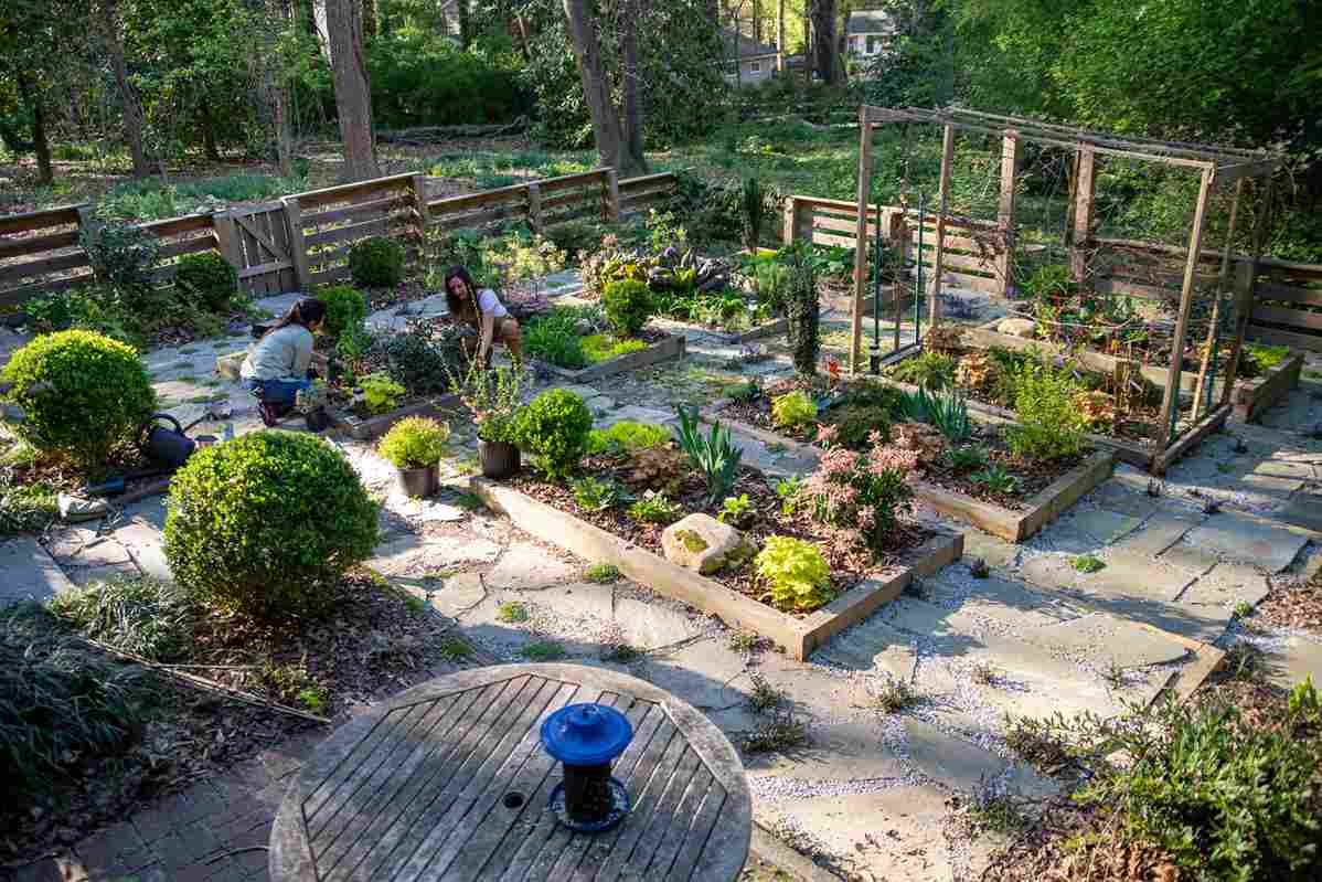 12 Easy Backyard Farm Setup Tips Every Beginner Needs