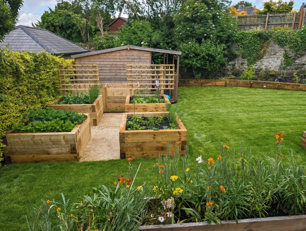 6 Smart Backyard Farming Tips I Wish I Knew Earlier
