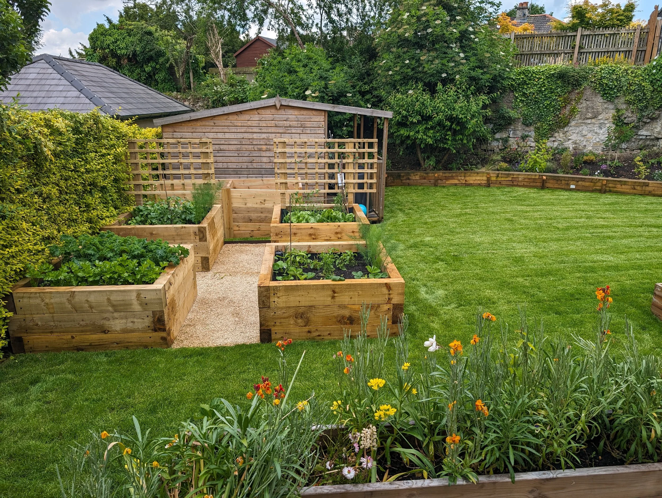 9 Proven Backyard Farming Tips That Doubled My Harvest