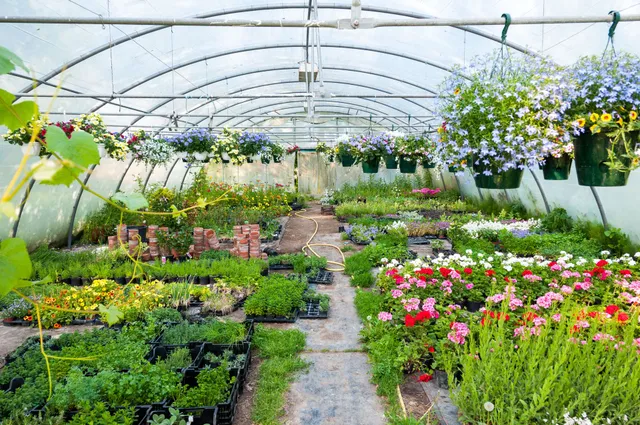 11 Easy Backyard Farming Tricks for Busy Beginners