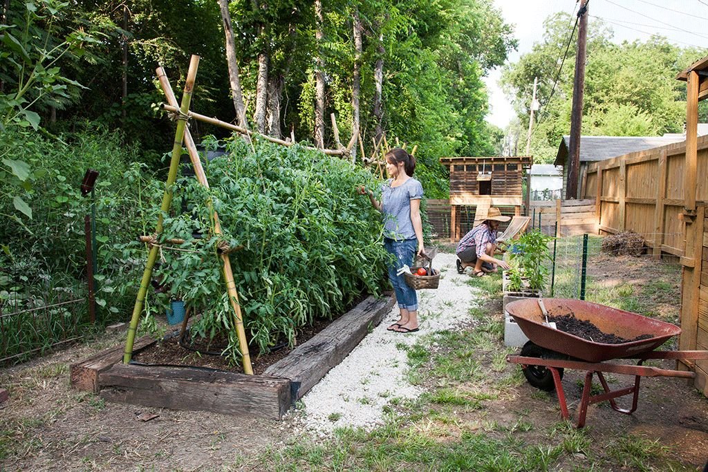 8 Powerful Backyard Farming Habits That Save Time Fast