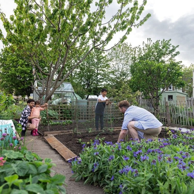 8 Powerful Backyard Farming Habits That Save Time Fast