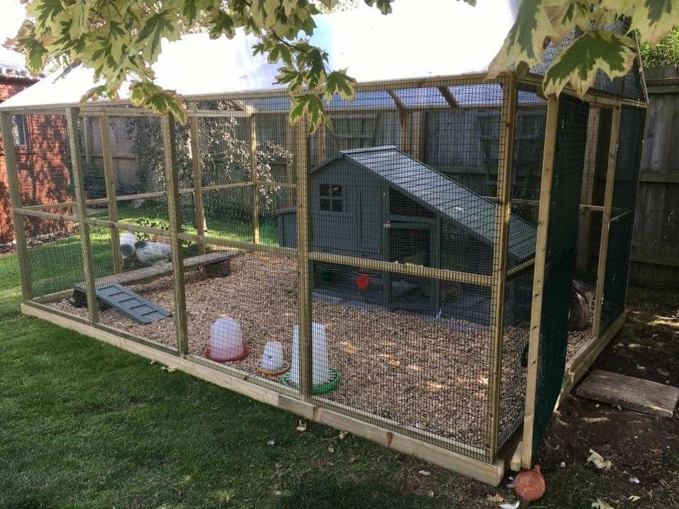 7 Essential Backyard Livestock Farm Lessons From My First Year