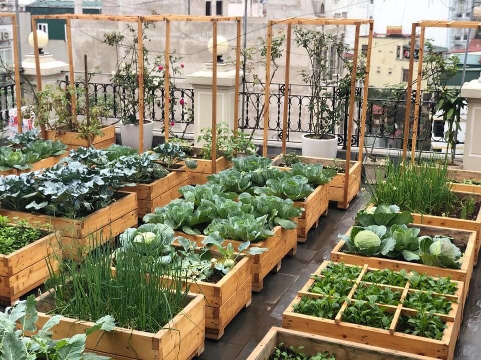 12 Proven Backyard Vegetable Farm Secrets for Bigger Harvests