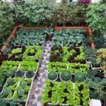 10 Powerful Backyard Vegetable Farm Tips for Small Yards