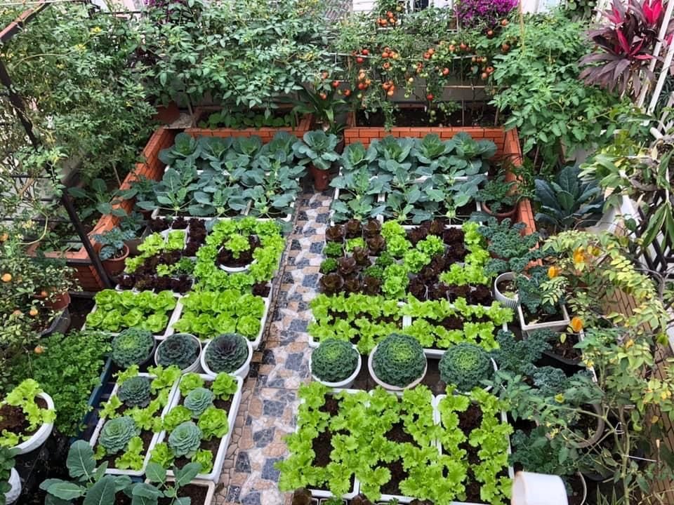 10 Powerful Backyard Vegetable Farm Tips for Small Yards
