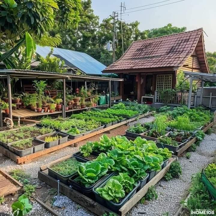 12 Proven Backyard Vegetable Farm Secrets for Bigger Harvests