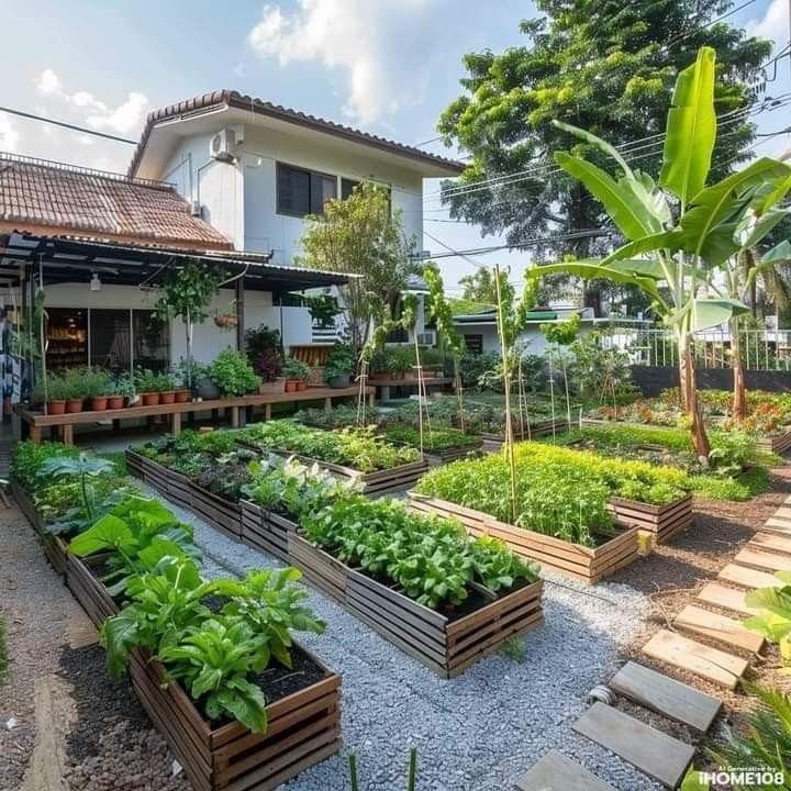 12 Proven Backyard Vegetable Farm Secrets for Bigger Harvests